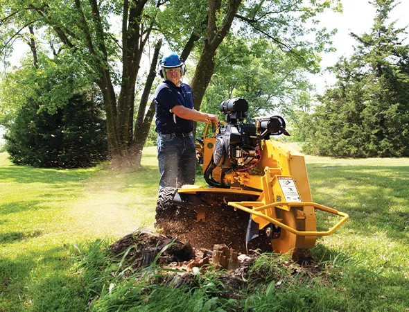 Why Choose Our Tree Stump Grinding Services